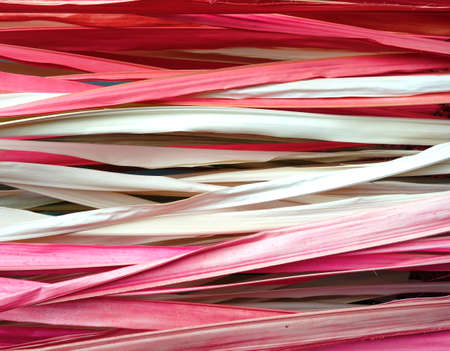 Colored dried palm leaves