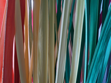 Colored dried palm leavesの写真素材
