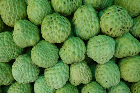 Stack of custard apple fruitsの写真素材