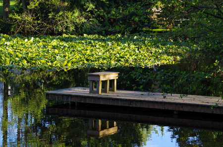 Dock over a calm springtime pondの写真素材