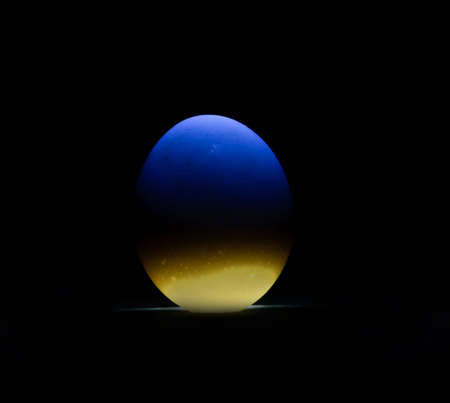 Patriotic egg