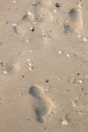 footprint on beachの写真素材