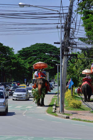 Riding Elephants: Ayutthaya, Thailand. minute ride-rather pricey for such a quick excursion. If wanting to skip the ride, anyone can view the elephants in their kraals and feed them sugarcane.のeditorial素材