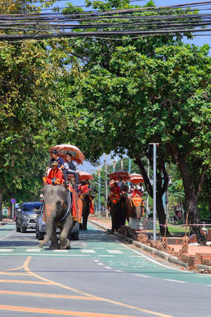 Riding Elephants: Ayutthaya, Thailand. minute ride-rather pricey for such a quick excursion. If wanting to skip the ride, anyone can view the elephants in their kraals and feed them sugarcane.のeditorial素材