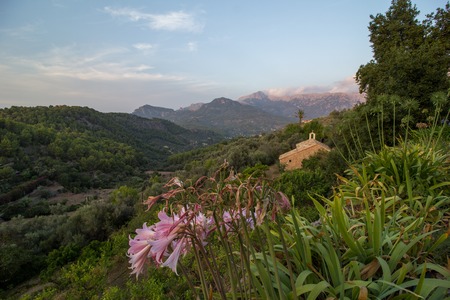 Landscape of Mallorca island, Spainの写真素材
