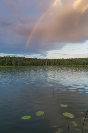 A reflection of forest and shore in a calm lake under a dynamic sky.の写真素材