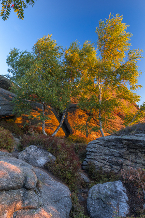 Orange morning light on boulders, rock formation and birch trees, saturated backgroundの写真素材