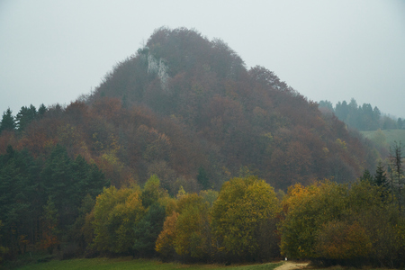Autumnal colorful forest in Pieninyの写真素材