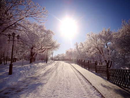 Winter fairy taleの写真素材