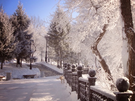 Winter park. Khabarovsk, Russiaの写真素材