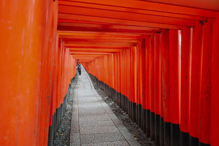 Red Torii gates in Fushimi Inari shrine, which is one of famous landmarks in Kyoto, Japan.のeditorial素材