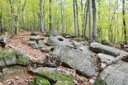 Scattered dolmen slabs. Dolmen group "Zhane II". Krasnodar region, Russiaの写真素材