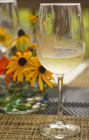 chilled glass of white wineの写真素材