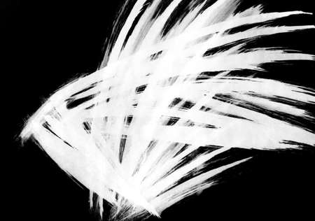 Harmony of the lifting force of the bird's wings, the reflection of reeds in the water in windy weather. Abstract graphics for meditation, energy, profitの写真素材