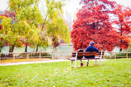young curly latino man sitting on a bench in a park with his guitar during autumn looking at a river.red and orange mood.Beautiful landscape with yellow trees and Colorful foliage in the park.Falling leaves natural background.の写真素材