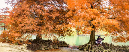 wide panoramic landscape view of a latino curly man wearing warm clothes playing a guitar in a forest during autumn.orange trees and a river as background.concept about freedom, leisure time, music and peacefully relaxing.の写真素材
