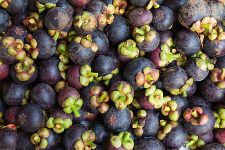 Mangosteen is a popular fruit in Thailandの写真素材