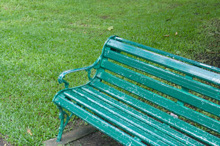 green chair in the gardenの写真素材