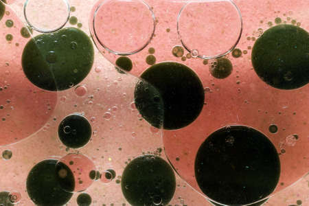 Oil drops on a water surface