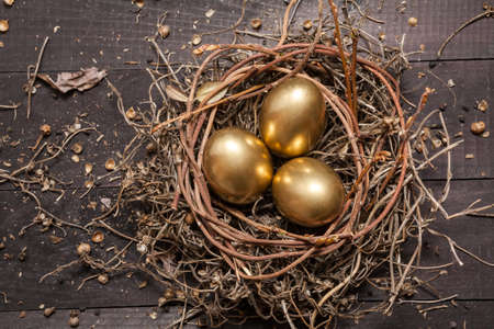 Golden eggs in nest on dark vintage wooden background

の写真素材