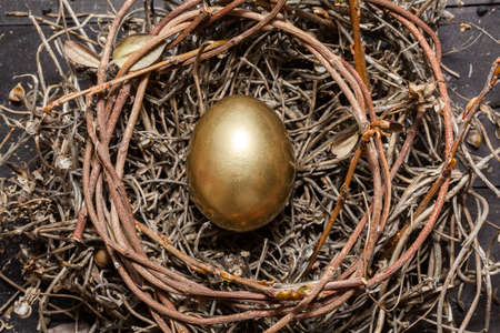 Golden egg in nest on dark vintage wooden background

