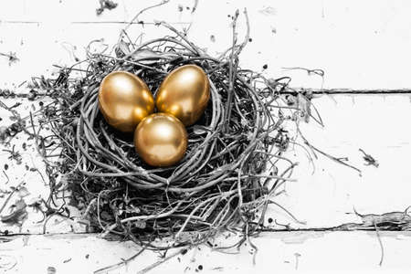 Golden eggs in nest on white vintage wooden background

の写真素材