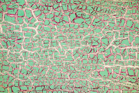 Old wooden painted rustic background, paint peeling. Aged wooden background for your designの写真素材