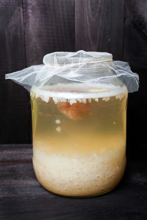 Fermented water kefir with grains on the bottom of jar and a floating piece of dry fruitsの写真素材