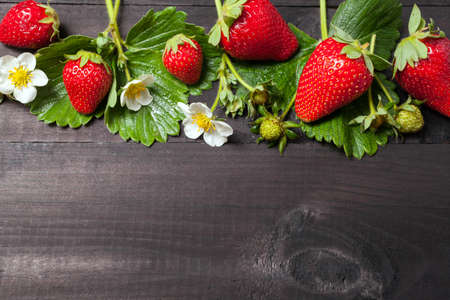 Red strawberries on a black wooden boardsの写真素材