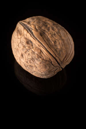 Walnut Fruit on black surface. Macro photograpty