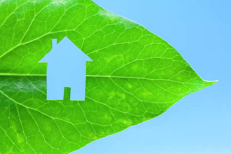Ecological green house portrayed by a house shaped hole cut from a vibrant green leafの写真素材
