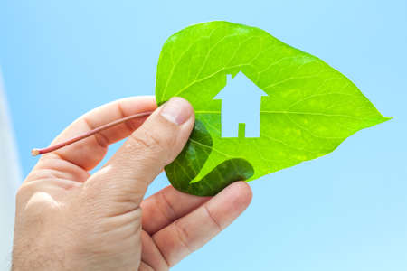 Ecological green house portrayed by a house shaped hole cut from a vibrant green leafの写真素材