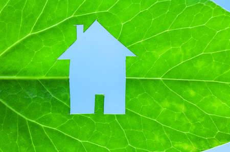 Ecological green house portrayed by a house shaped hole cut from a vibrant green leafの写真素材