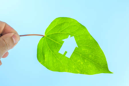 Ecological green house portrayed by a house shaped hole cut from a vibrant green leafの写真素材