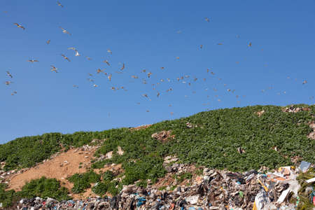 ALEXANDROUPOLIS, GREECE - MARCH 30: A section of a landfill located on March 30, 2014 in Alexandroupolis, Greece. Though forbidden this way for the municipality garbage, still exists.

のeditorial素材