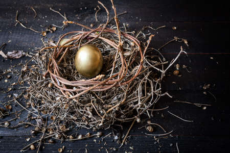 Golden egg in nest on dark vintage wooden background

の写真素材
