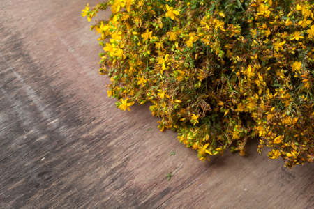 Yellow flowers of hypericum perforatum, St. john's worth の写真素材