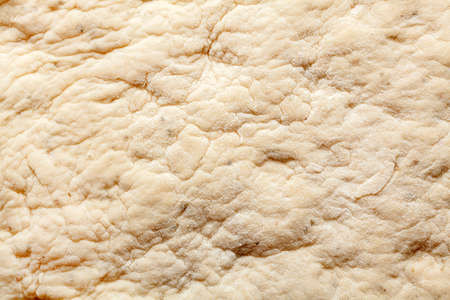 Yeast dough texture. Macro image. の写真素材