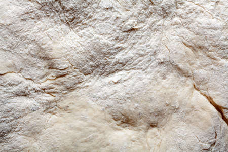 Yeast dough texture. Macro image. の写真素材