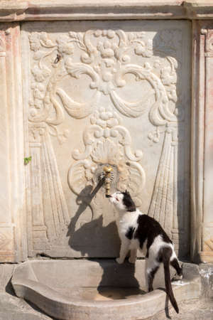 ANDROS, GREECE - JULY 22, 2014: City of Andros, is the northernmost island of the Greek Cyclades archipelago in the Aegean Sea - area is 380 km2, 40 km long, and its greatest breadth is 16 km.のeditorial素材