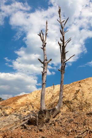 Environmental impacts of minesの写真素材