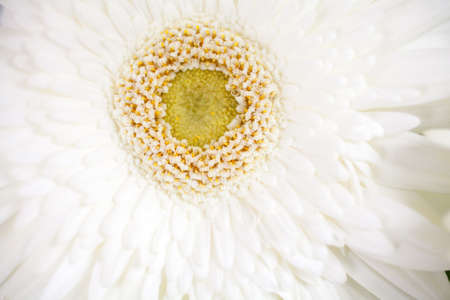 Wedding ceremony decorationsの写真素材