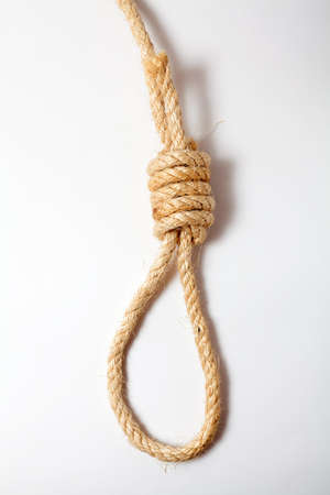 Rope knotted in noose on white backgroundの写真素材