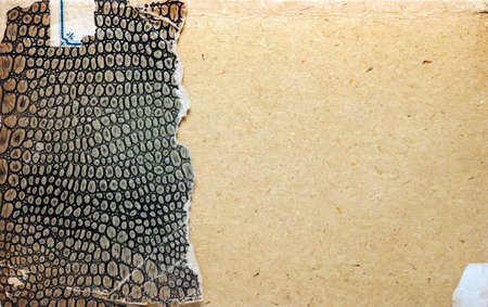 Old book cover, vintage texture with imitation leatherの写真素材