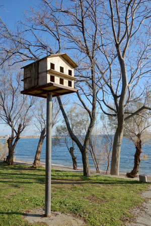 bird nesting box in a parkの写真素材