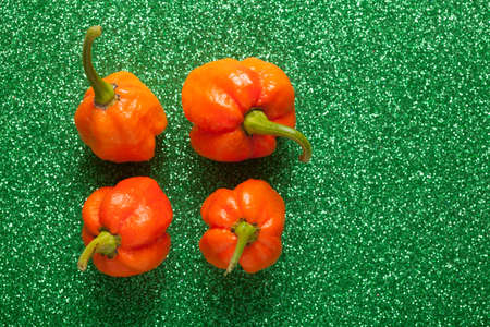 Trinidad Moruga Scorpion Spicy chili in the world on a green backgroundの写真素材