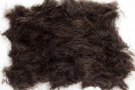 Backdrop of human hairの写真素材