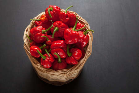 Red hot Trinidad moruga scorpion peppers in a basket on black background