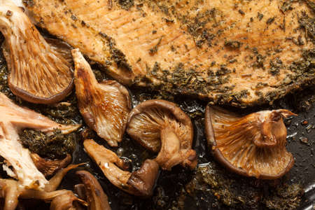 Salmon with mushrooms cooked in the ovenの写真素材