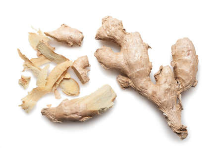 Ginger on a white backgroundの写真素材
